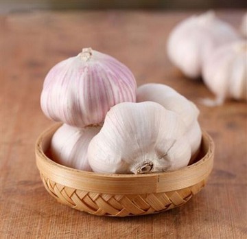 Large White Garlic